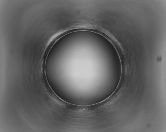 X0000090931222200708201821