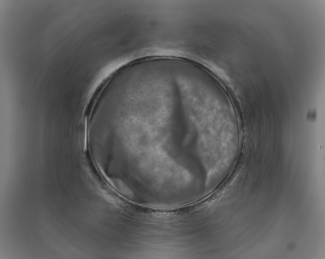 X0000090931223200708201821