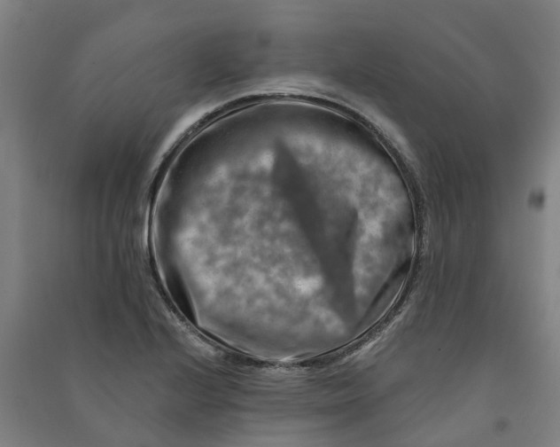 X0000090931224200708201821