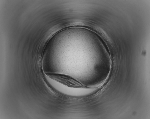 X0000090931225200708201821