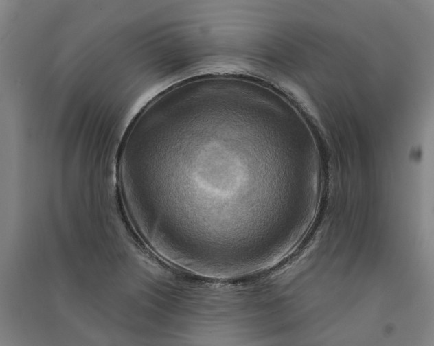 X0000090931226200708201821