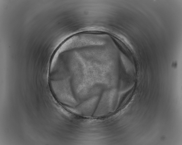 X0000090931228200708201821