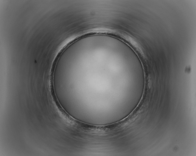 X0000090931229200708201821