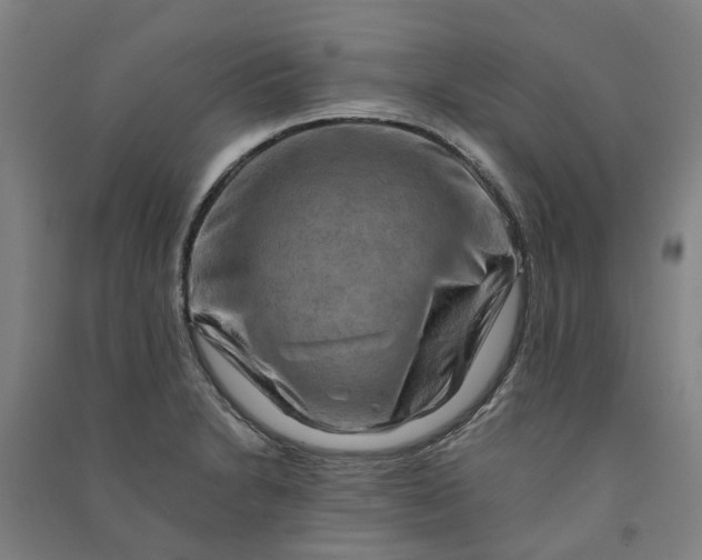 X0000090931230200708201821