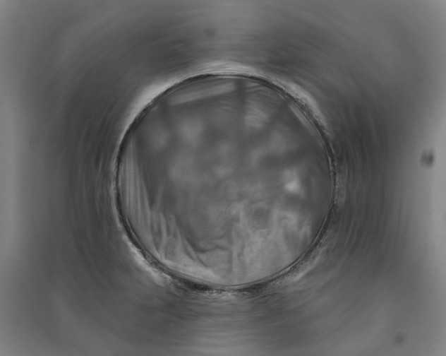 X0000090931231200708201821