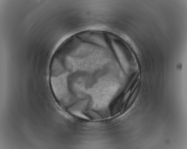 X0000090931232200708201821