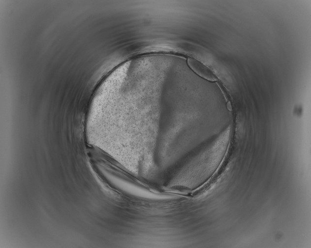 X0000090931233200708201821