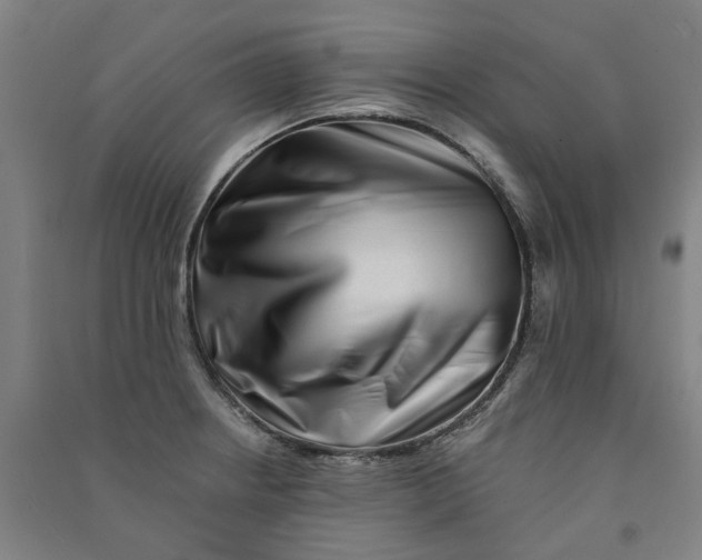 X0000090931234200708201821