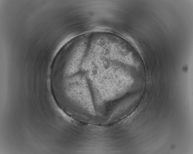 X0000090931235200708201821