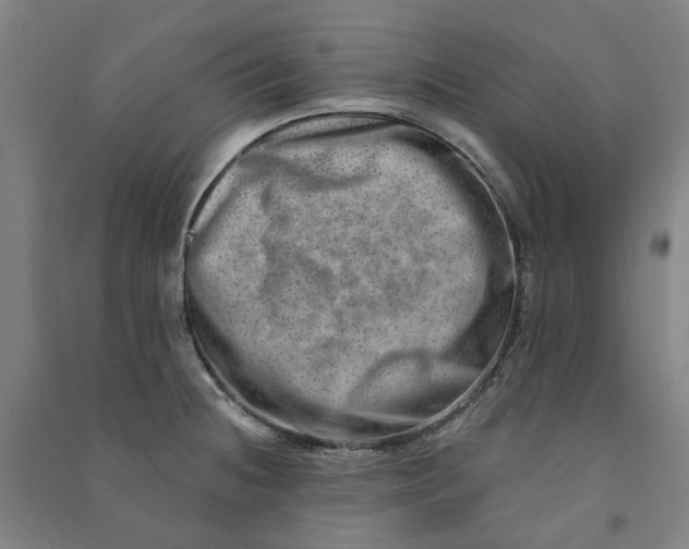 X0000090931236200708201821