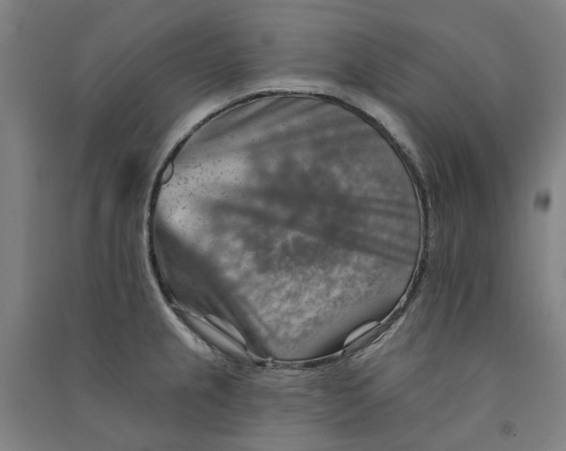 X0000090931237200708201821