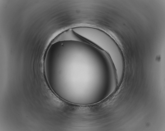 X0000090931238200708201821