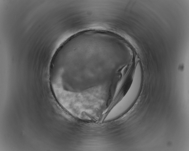 X0000090931240200708201821