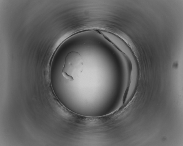 X0000090931242200708201821