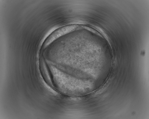 X0000090931243200708201821