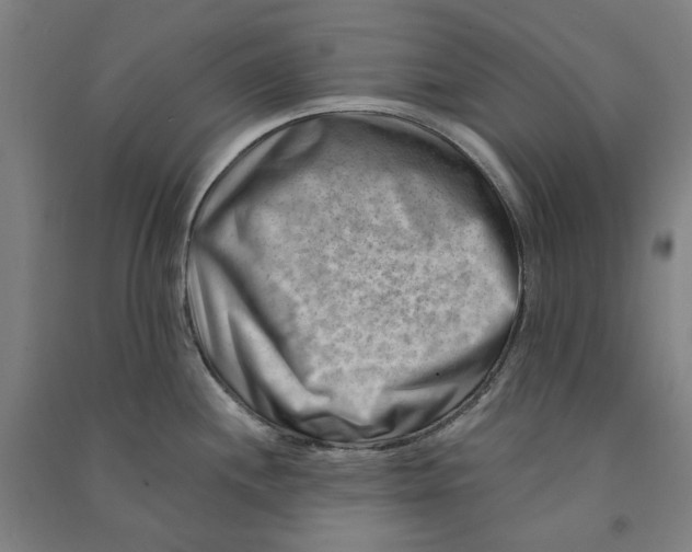 X0000090931244200708201821