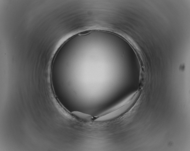 X0000090931246200708201821