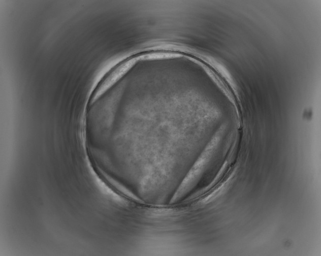 X0000090931247200708201821