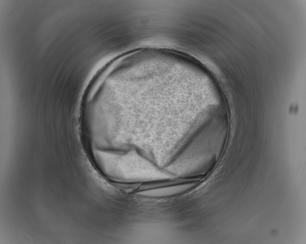 X0000090931248200708201821