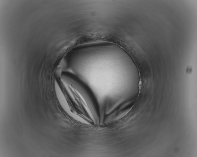 X0000090931250200708201820