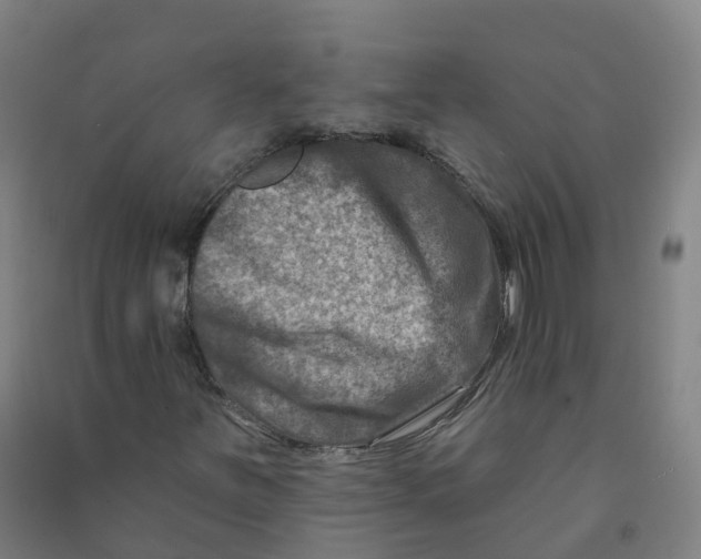 X0000090931251200708201820