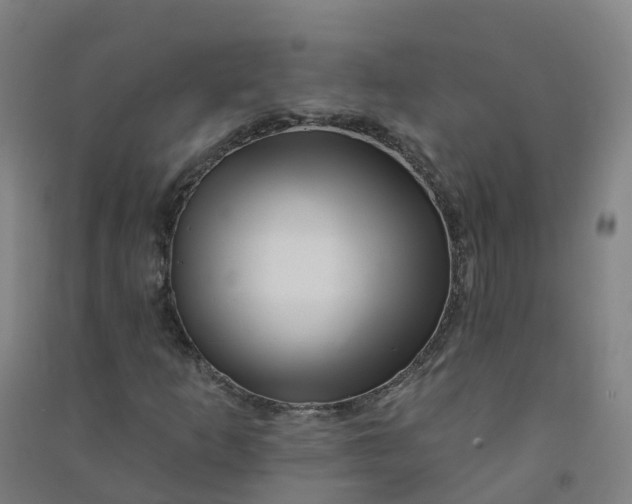 X0000090931253200708201820