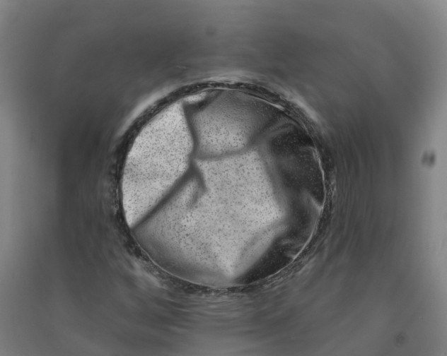 X0000090931256200708201820