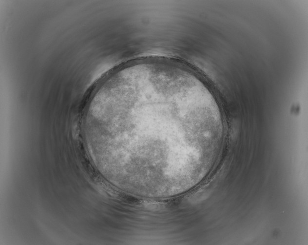 X0000090931258200708201820