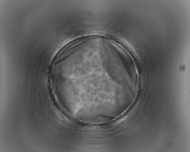 X0000090931260200708201820