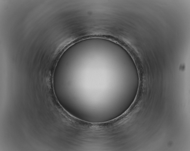 X0000090931265200708201820