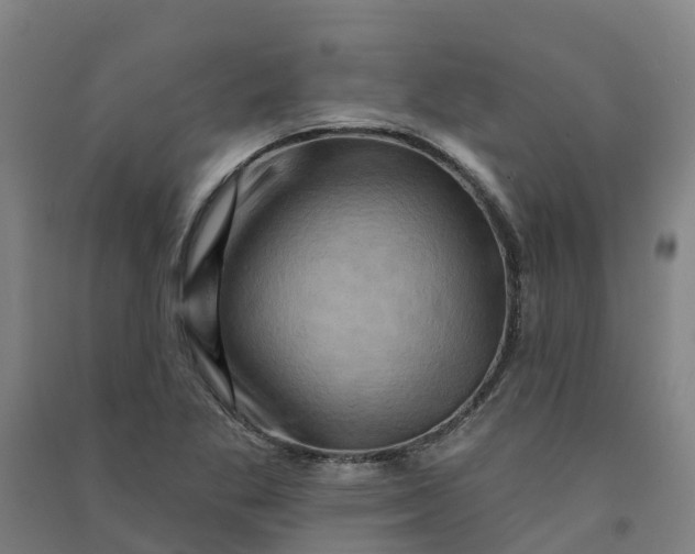 X0000090931269200708201820