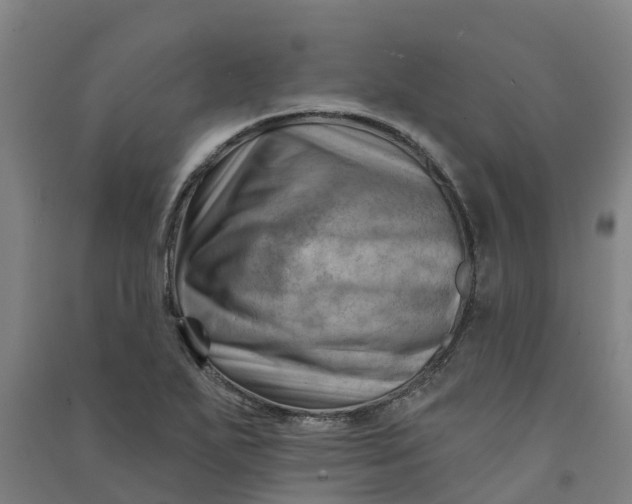 X0000090931271200708201820