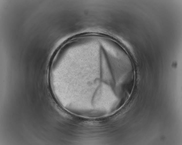 X0000090931272200708201820