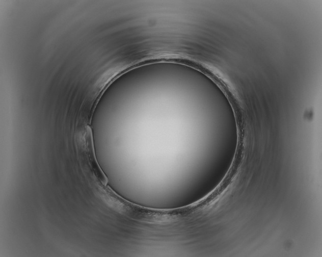 X0000090931273200708201820