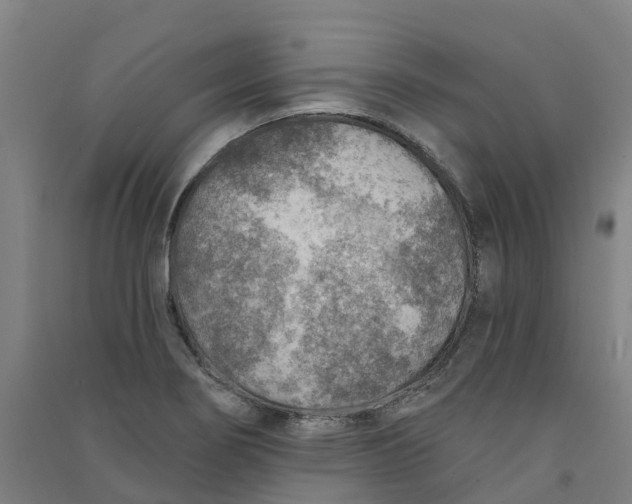 X0000090931274200708201820