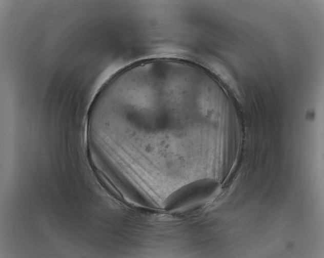 X0000090931275200708201820