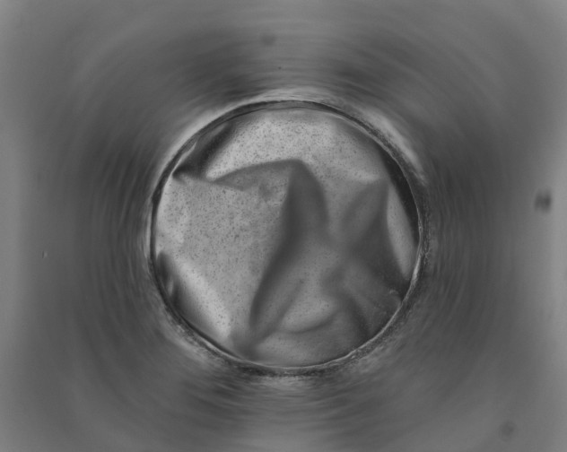 X0000090931276200708201820