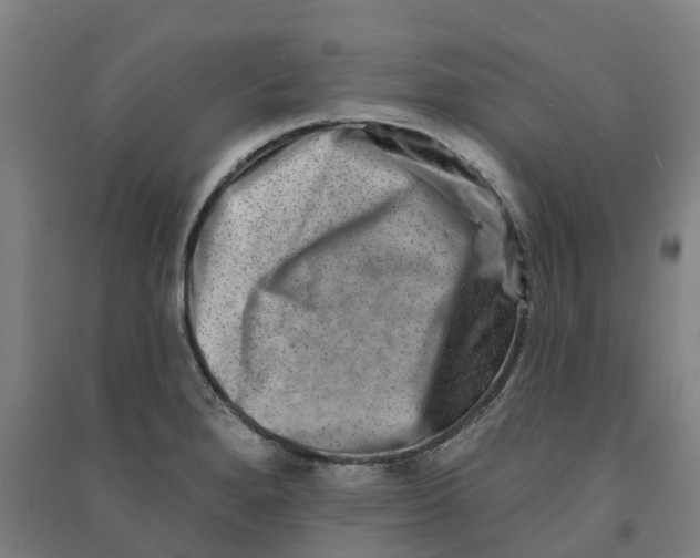 X0000090931280200708201820