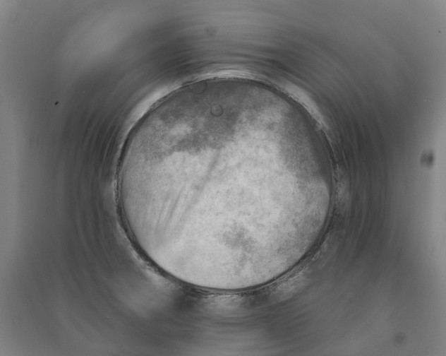 X0000090931282200708201820