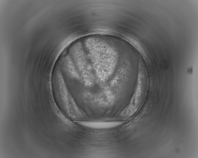 X0000090931283200708201820