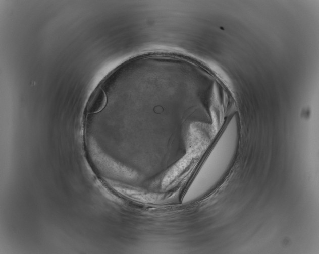 X0000090931287200708201820