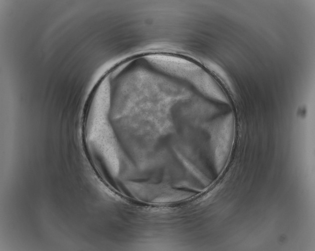 X0000090931288200708201820