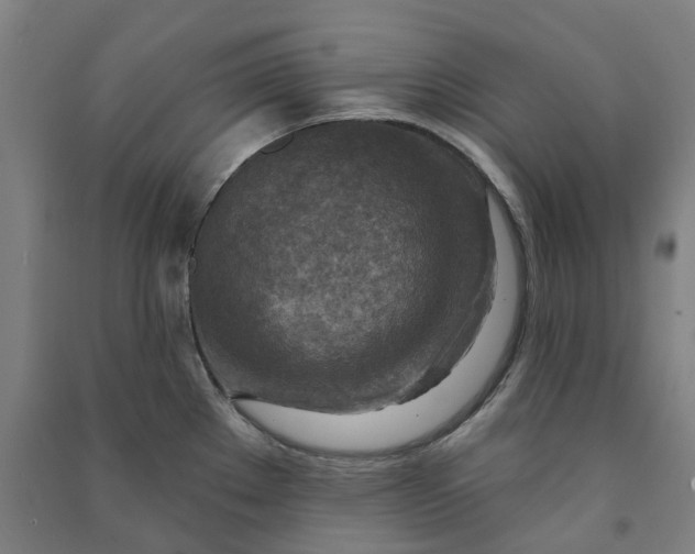 X0000090931289200708201820