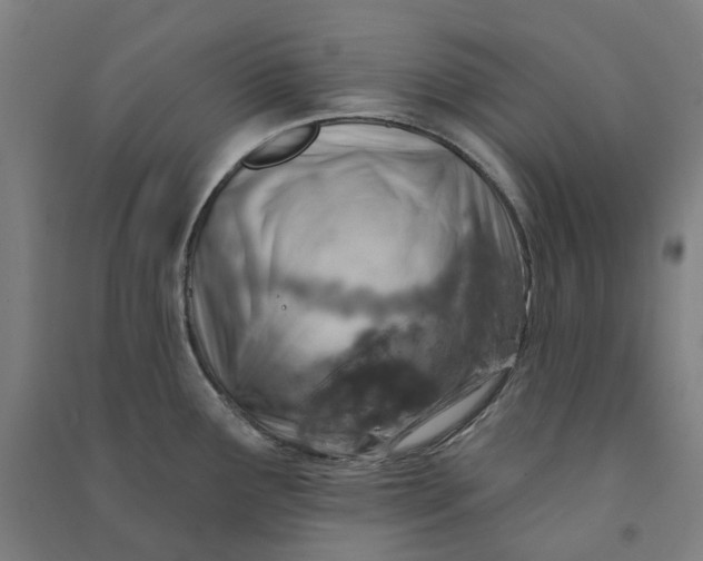 X0000090931291200708201820