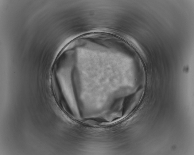 X0000090931292200708201820