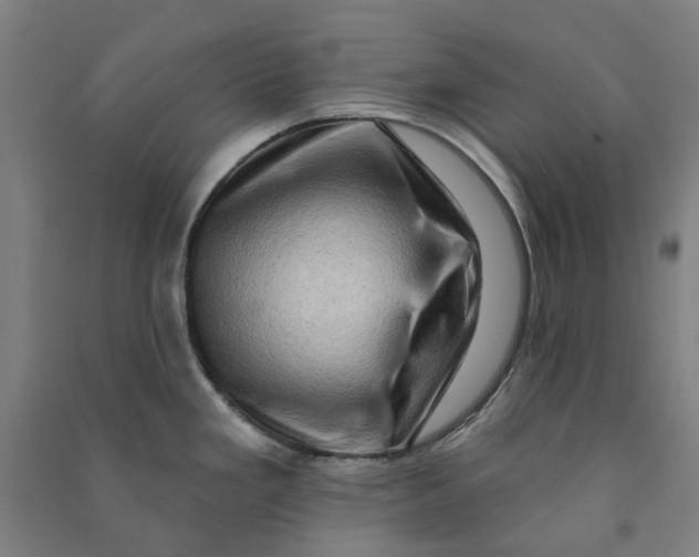 X0000090931293200708201820