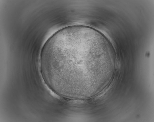 X0000090931294200708201820