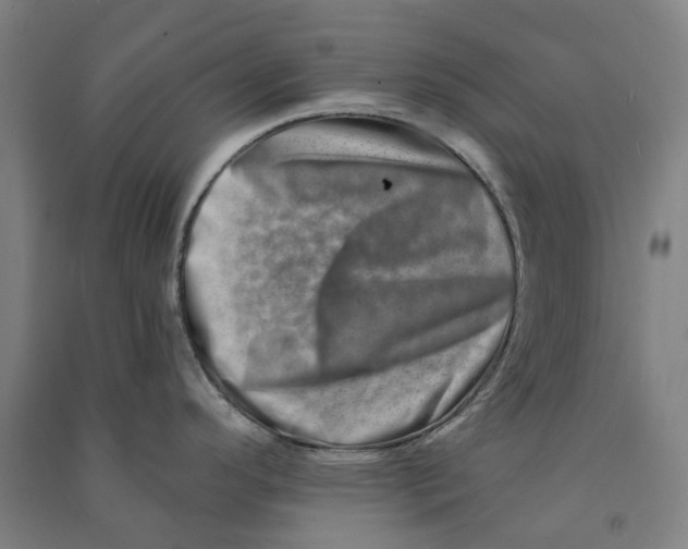 X0000090931296200708201820