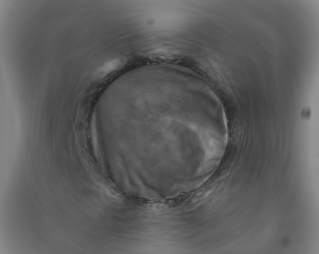 X0000090931297200708201819