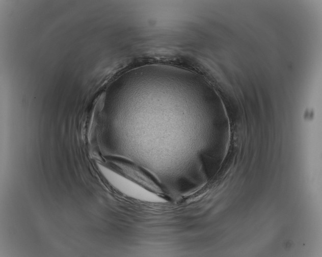 X0000090931298200708201819